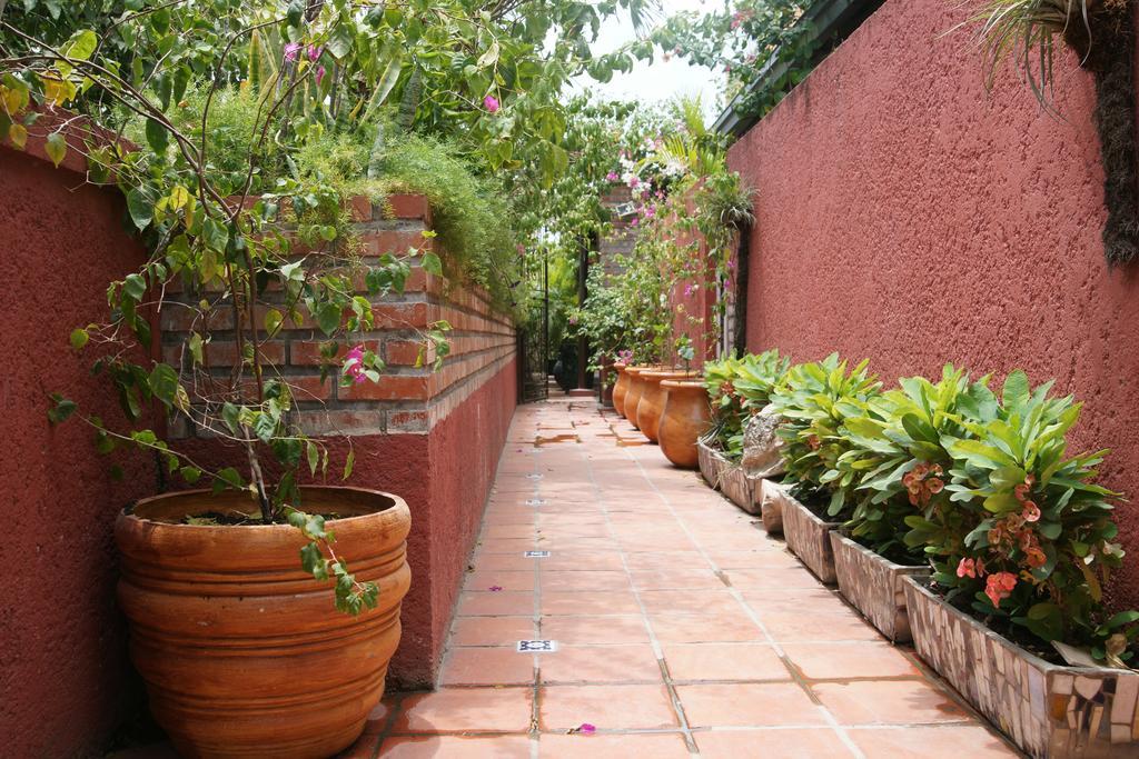 Corail Suites Jacquet 객실 사진